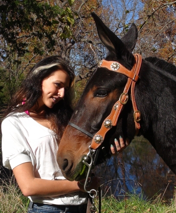https://www.missourimuleco.com/Saddles-Tack/tack-photos/headstallmedallionpond2s.jpg